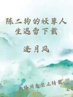 陈二狗的妖孽人生迅雷下载